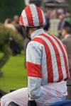 Racehorse 'Ringer' Fraud